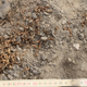 Image for article titled Archaeologists Baffled By 2,000 Tiny Gold Spirals Discovered In Denmark
